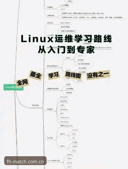 凤凰体育平台 fh凤凰体育平台详解:从入门到精通的完整指南
